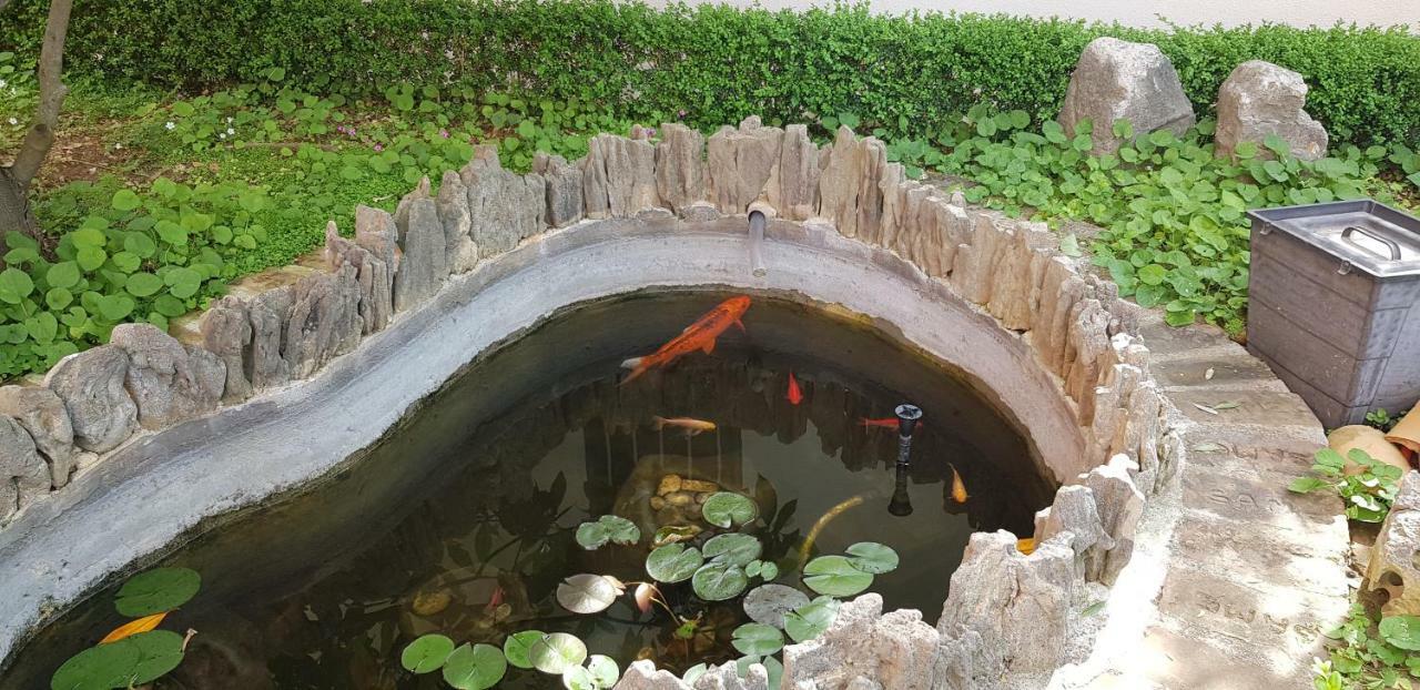 Villa Rustica 扎达尔 外观 照片